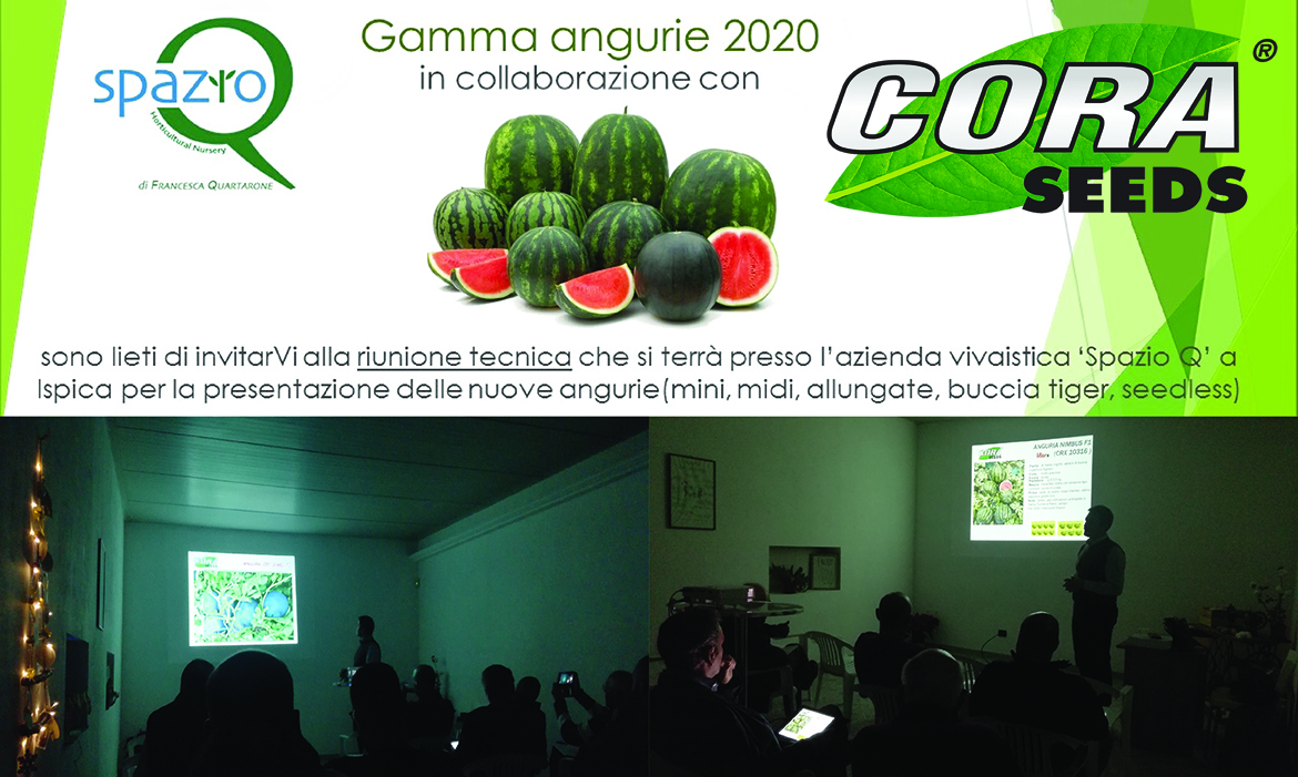 Riunione tecnica gamma angurie 2020 – Spazio Q